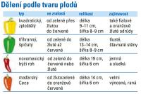 Papriky - dělení podle tvarů plodů
