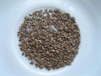 Bukvice lékařská (Betonica officinalis)