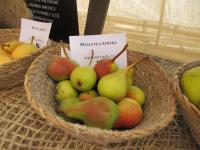 Hrušeň obecná 'Máslovka římská'