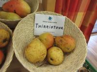 Hrušeň obecná 'Thirriotova'