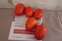 Lilek rajče 'Big Mama F1' (Solanum lycopersicum)
