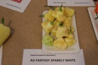 Paprika křídlatá 'Aji Fantasy Sparkly White' (Capsicum baccatum)