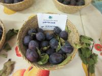 Slivoň švestka 'Chrudimská'