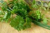 Bylinky - petrželka kadeřavá