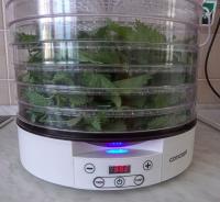 Kopřiva dvoudomá - sušička (Urtica dioica)