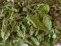 Kopřiva dvoudomá - sušená droga (Urtica dioica)