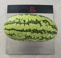 Lubenice obecná 'Dračí vejce' (Citrullus lanatus)